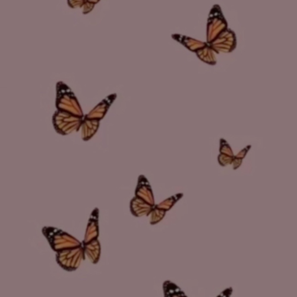 Meet your Posher, Olga